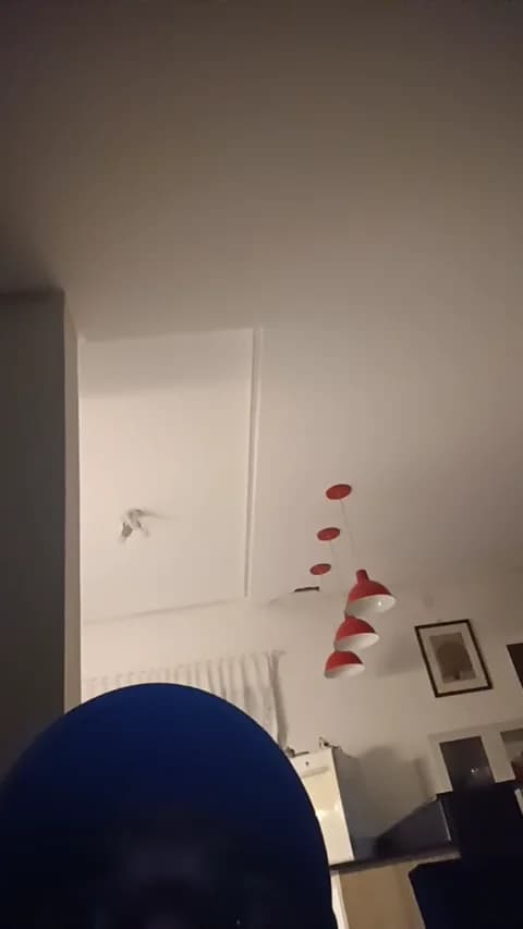 PeludassoBaiano XXX Tube | 32min | Apr 18, 2026 03:29