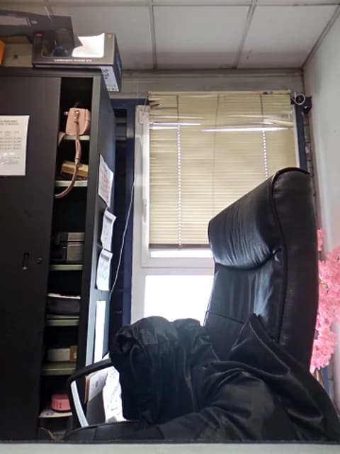 Sarajaymicorazon088 XXX Tube | 120min | Apr 15, 2026 14:12