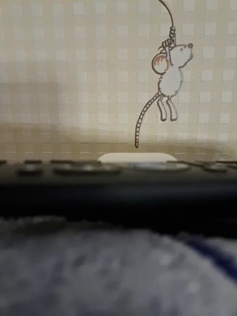 SweetPraGG XXX Tube | 36min | Feb 2, 2026 23:09