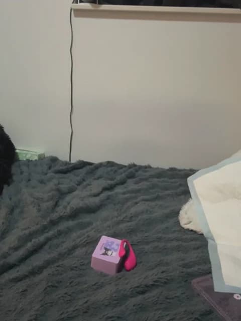 jura_xxx XXX Tube | 31min | May 7, 2026 11:48