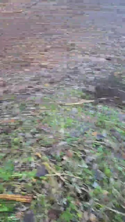 likescock5 XXX Tube | 64min | Jan 16, 2026 16:36