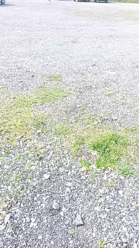 livenews1 XXX Tube | 48min | Mar 15, 2026 11:39