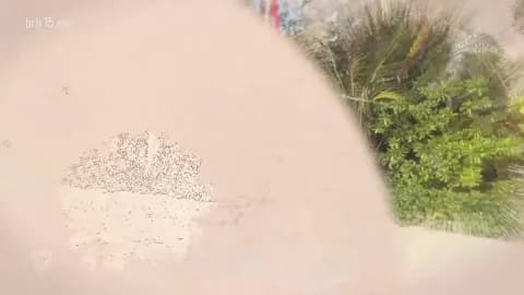 taanni_bc XXX Tube | 76min | Jan 16, 2026 10:19