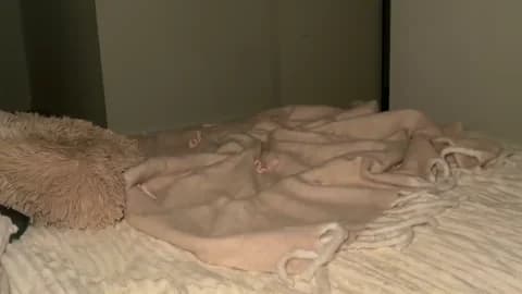 taliavaine XXX Tube | 100min | Jan 19, 2026 20:56