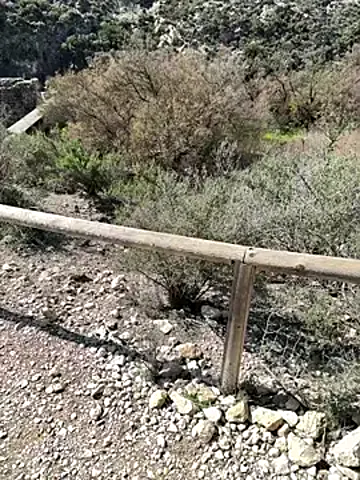 Mona_Plus Stripchat Model - Cam Recordings